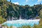 25 cosas que hacer en Rotorua (Nueva Zelanda) | Los Traveleros