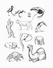 How To Draw Animals Step By Step For Kids Printable - vrogue.co