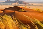 Desierto del Kalahari | La guía de Geografía