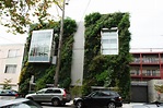 Drew School, San Francisco | Vertical Garden Patrick Blanc