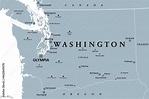 Washington, WA, gray political map, with capital Olympia. State in the ...