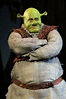 'Shrek' to come to life on DeVos Hall stage - mlive.com