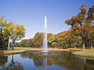 Yoyogi Park - tokyoisours.com