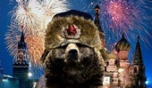 Russische Zeichen: ein Bär. Warum der Bär Symbol für Russland? Symbols ...