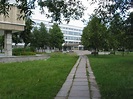 St. Petersburg State University