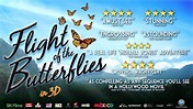 Flight of the Butterflies - OFFICIAL TRAILER - YouTube