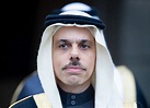 Prince Abdulaziz Bin Abdullah Bin Faisal Bin Farhan Al Saud - siabdule