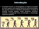 Ao Estudar A Evolução Da Espécie Humana - AskSchool