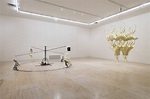 Bruce Nauman at MoMA Museum of Modern Art New York - Artmap.com