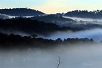 Fondos de pantalla : niebla, cielo, amanecer, Mañana, atmósfera, árbol ...