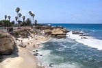 16 Best Things to do in La Jolla California on Your First Visit