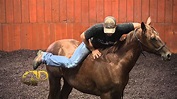 Dan James Working Throughbred Horses - YouTube