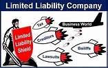 What is a Limited Liability Company? Advantages and Disadvantages of ...