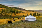 Mongolei - Eine Reise in eine ferne Welt