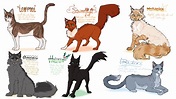 some warrior cats designs by BlueLeafCisco on DeviantArt