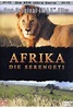 Afrika - Die Serengeti IMAX Film auf DVD ausleihen bei verleihshop.de
