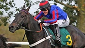 Former racehorse returns to Aintree in second successful career - Horse ...