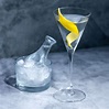 Dry Martini Cocktail Recipe - CockTail Seeker