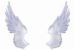 Alas Blancas De Angel Png - Angel Wings PNG Image | PNG Arts