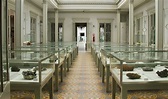 Museo de Minerales Andrés Del Castillo-MAD, cumple once años ...