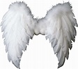 White Wings PNG Image - PurePNG | Free transparent CC0 PNG Image Library