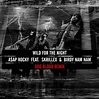 A$AP Rocky - Wild For The Night (Dog Blood Remix)