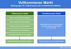 Vollkommener Kapitalmarkt