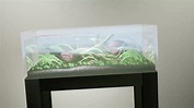 ArtStation - Lofi Fish Tank
