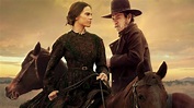 'The Homesman (2014)' Netflix'te mi? | TURFLIX