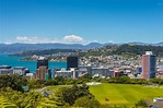 Wellington - die Hauptstadt der Kiwis - Reisemagazin Online