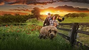 Mi gran pequeña granja: El regreso español Latino Online Descargar 1080p