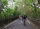 中部最夯親子旅遊景點東豐自行車綠廊 國慶連假就到綠色隧道放鬆森呼吸