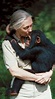 Jane Goodall's Research With Chimpanzees Can Best Be Described as ...