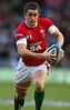 Shane Williams has to fly despite the attack on his defence, says ...