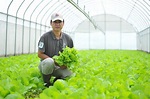 桃園 | 台塑楊梅有機生態農場 | 農場導覽・蔬果採摘・DIY活動 - KKday
