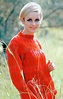 Picture of Twiggy