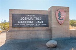 USA 2016: Joshua Tree National Park ⇒ Album 1