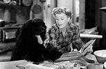 Never a Dull Moment (1950) - Turner Classic Movies