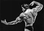 Schwarzenegger in his prime. Simply amazing | Arnold schwarzenegger ...