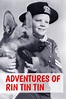 Rin Tin Tin and the Return of the Chief Pictures - Rotten Tomatoes