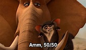 Amm 50 50 - Madagascar - Fotos de memes