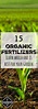 15 of the Best Common Organic Fertilizers - Gardening Channel