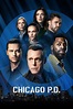 Chicago PD | Series | MySeries