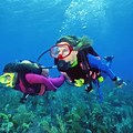 Indonesia Scuba Divers Club