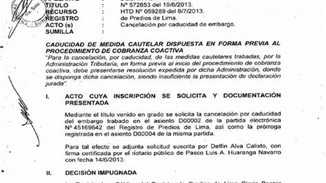 ¿Cómo Resolver Los Problemas Con La Cancelación De Embargo Por Caducidad?, MX Modelo