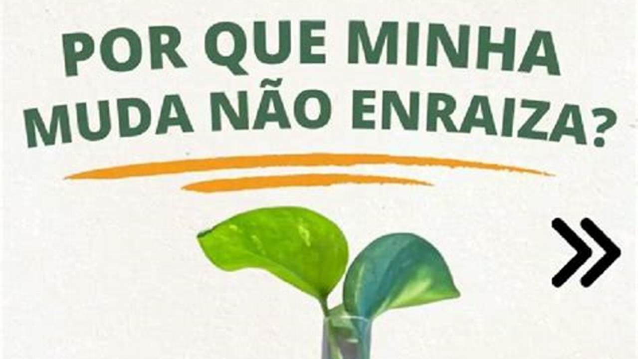 1. A Muda Não Enraíza, Plantas