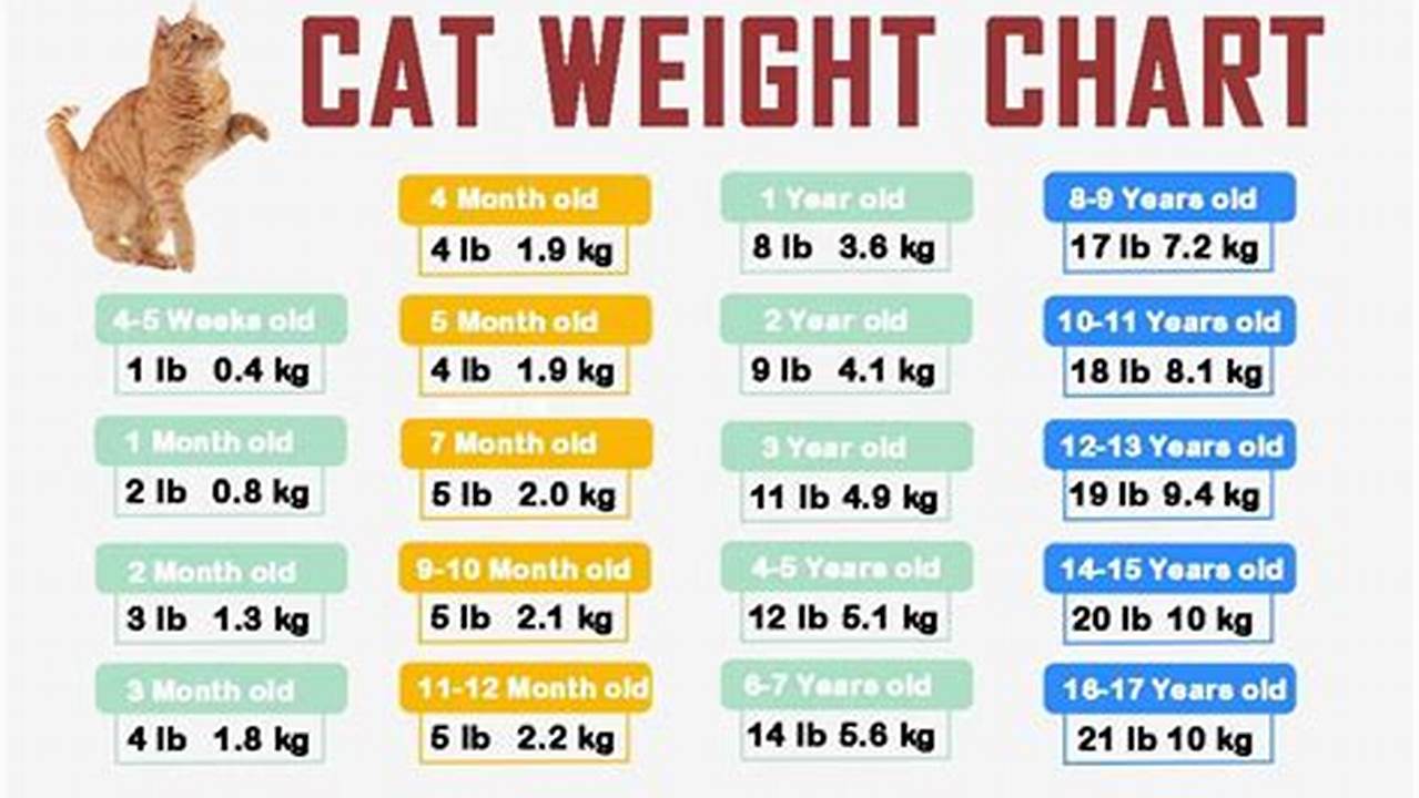 Find Out The Perfect Growth Rate: 12 Week Kitten Weight Patterns For Healthy Development