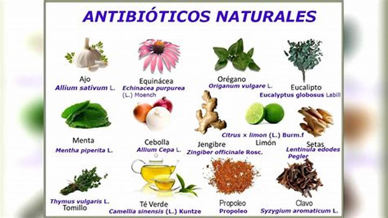 2. Antimicrobiano, Plantas