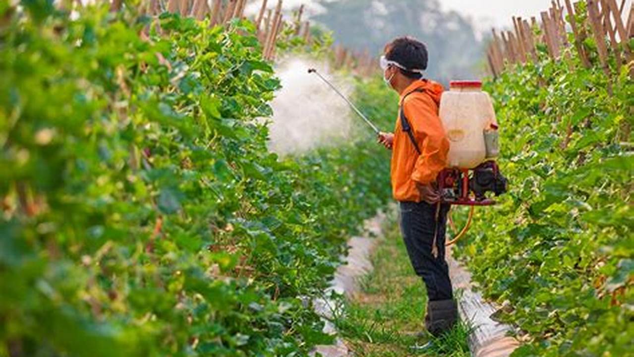 2. Controlar A Poluição, Plantas