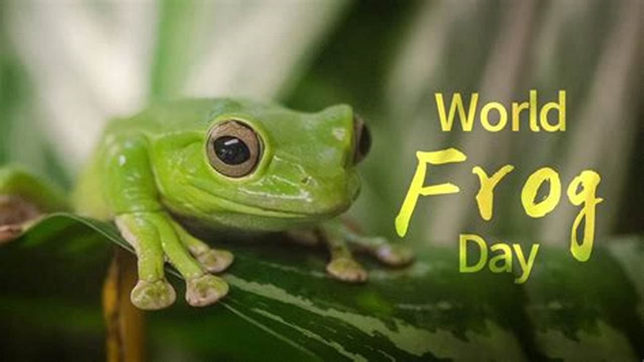 20 March Marks World Frog Day, An Annual Observance Of These Fascinating Amphibians., 2024